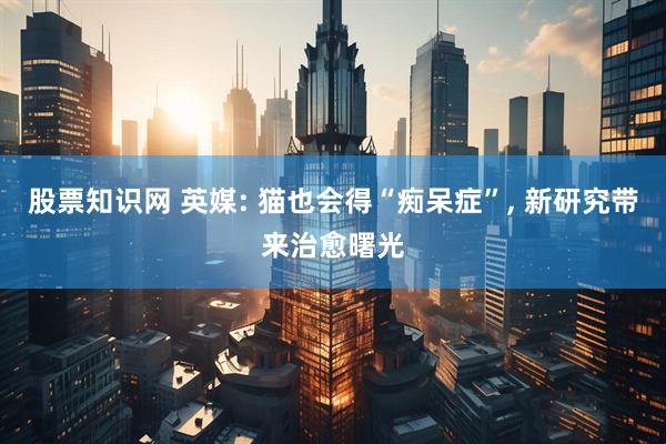 股票知识网 英媒: 猫也会得“痴呆症”, 新研究带来治愈曙光