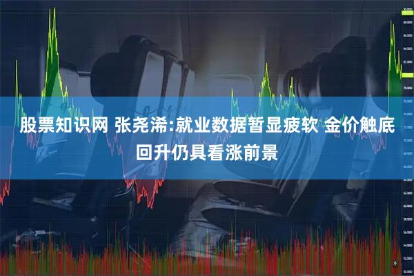 股票知识网 张尧浠:就业数据暂显疲软 金价触底回升仍具看涨前景