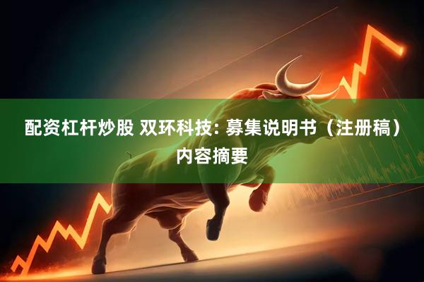 配资杠杆炒股 双环科技: 募集说明书（注册稿）内容摘要