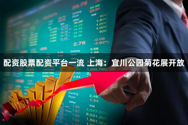 配资股票配资平台一流 上海：宜川公园菊花展开放