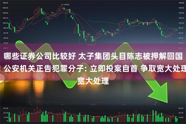 哪些证券公司比较好 太子集团头目陈志被押解回国! 公安机关正告犯罪分子: 立即投案自首 争取宽大处理