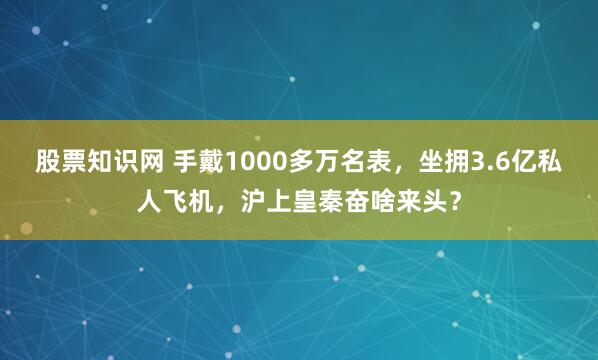 股票知识网 手戴1000多万名表，坐拥3.6亿私人飞机，沪上皇秦奋啥来头？