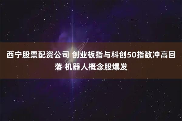 西宁股票配资公司 创业板指与科创50指数冲高回落 机器人概念股爆发