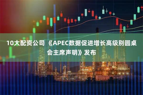 10大配资公司 《APEC数据促进增长高级别圆桌会主席声明》发布
